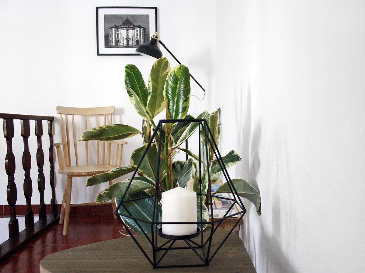 Foral Guest House - 奥比多斯 外观 照片